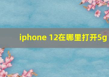 iphone 12在哪里打开5g